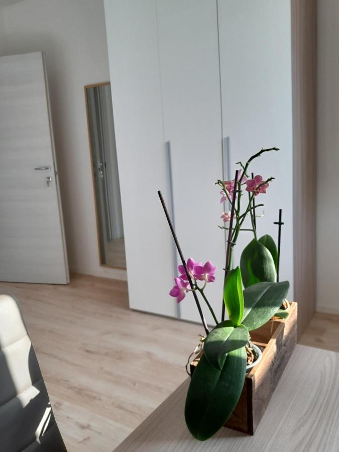 Mattarello Appartment Lodged Mamma Maria מראה חיצוני תמונה