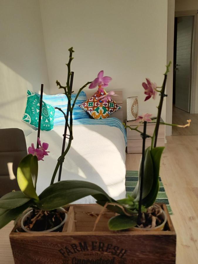 Mattarello Appartment Lodged Mamma Maria מראה חיצוני תמונה