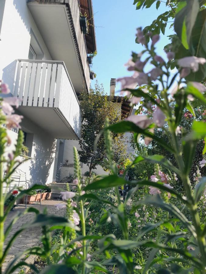 Mattarello Appartment Lodged Mamma Maria חדר תמונה