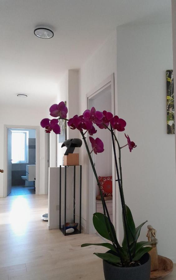 Mattarello Appartment Lodged Mamma Maria מראה חיצוני תמונה