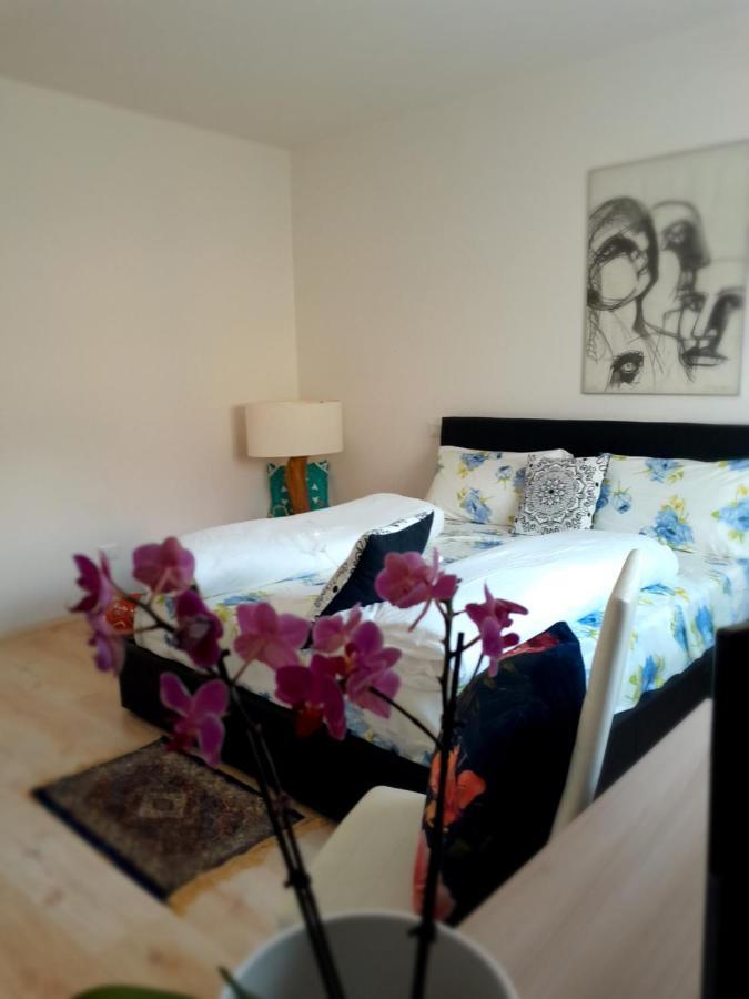 Mattarello Appartment Lodged Mamma Maria מראה חיצוני תמונה