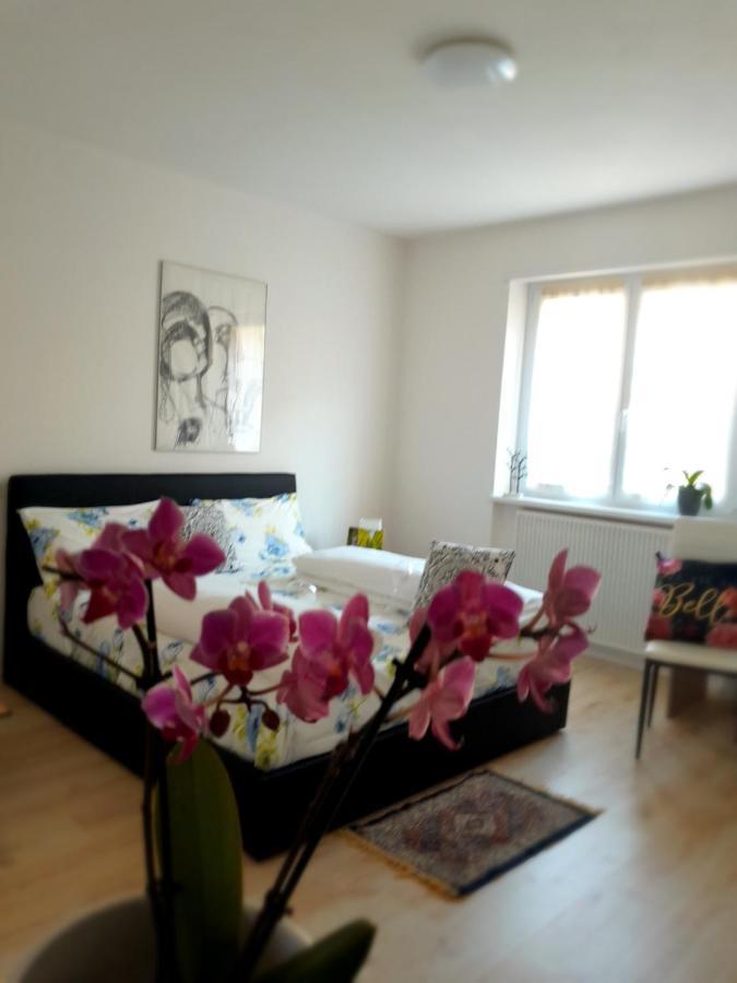 Mattarello Appartment Lodged Mamma Maria מראה חיצוני תמונה